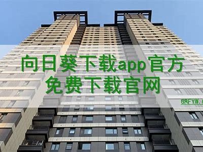 下载向日葵成人APP：安卓用户快速安装指南与注意事项