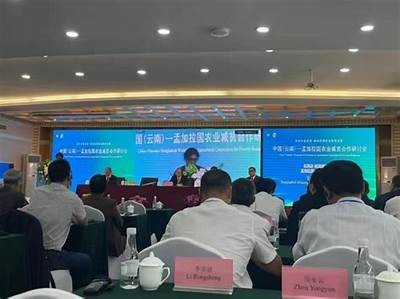 国产热门影视作品全集在线免费播放，畅享全新观影体验！