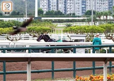 铚滄鐭抽钖版暀绋嬭棰戜笅杞：探讨现代生活中的科技与人文交融
